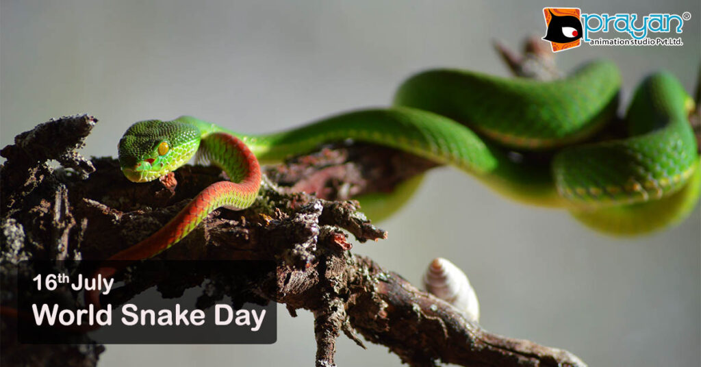 World Snake Day (July 16th)